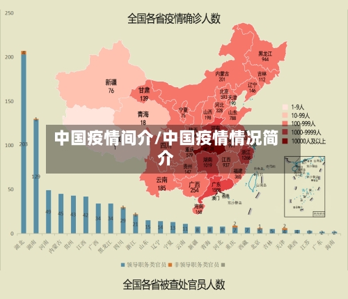 中国疫情间介/中国疫情情况简介-第3张图片