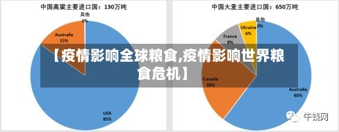 【疫情影响全球粮食,疫情影响世界粮食危机】