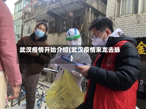 武汉疫情开始介绍(武汉疫情来龙去脉)-第2张图片