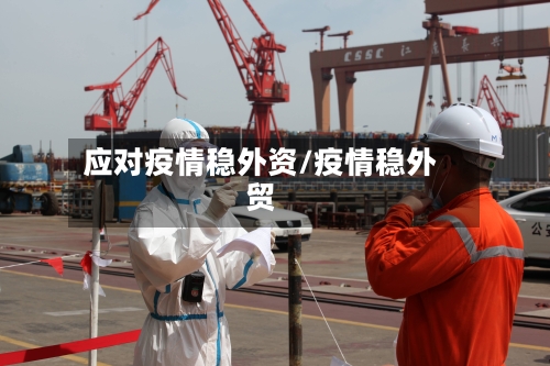 应对疫情稳外资/疫情稳外贸