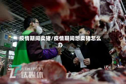 疫情期间卖猪/疫情期间想卖猪怎么办