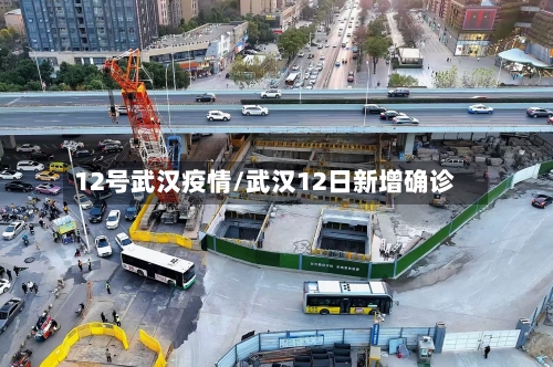 12号武汉疫情/武汉12日新增确诊
