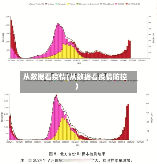 从数据看疫情(从数据看疫情防控)-第2张图片