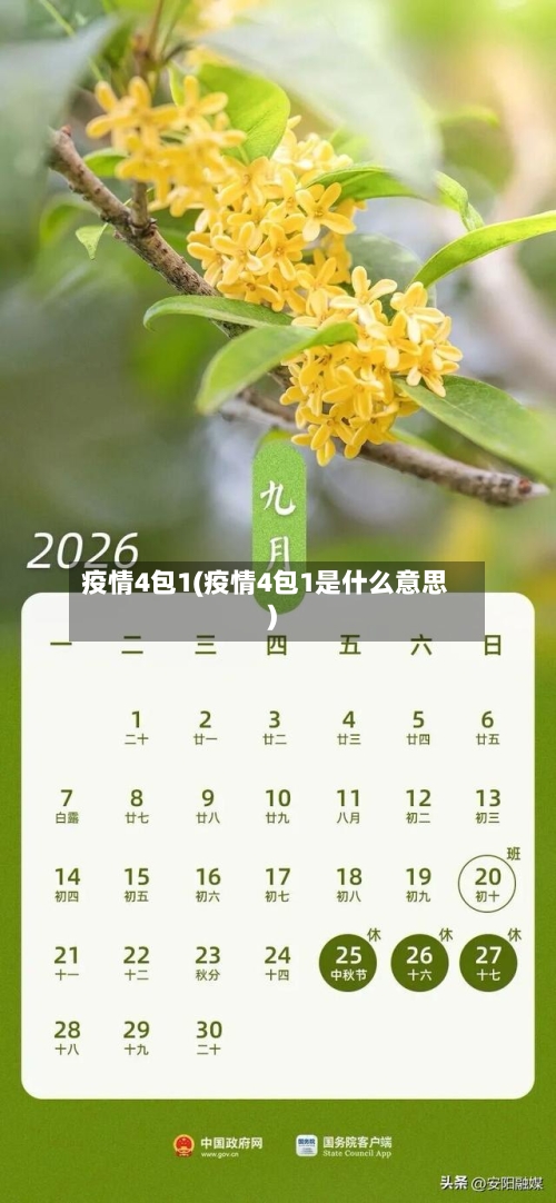 疫情4包1(疫情4包1是什么意思)