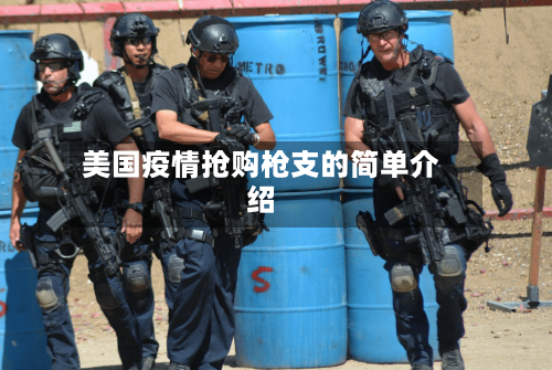 美国疫情抢购枪支的简单介绍-第2张图片