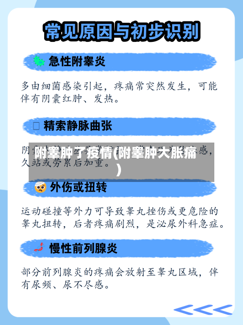 附睾肿了疫情(附睾肿大胀痛)-第2张图片