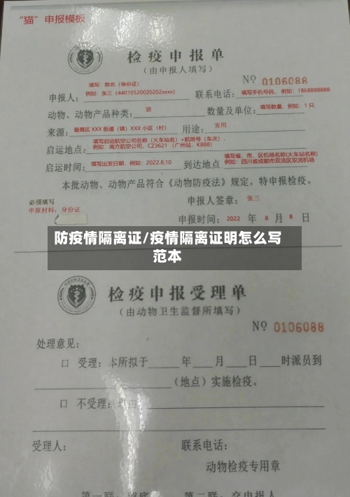 防疫情隔离证/疫情隔离证明怎么写范本
