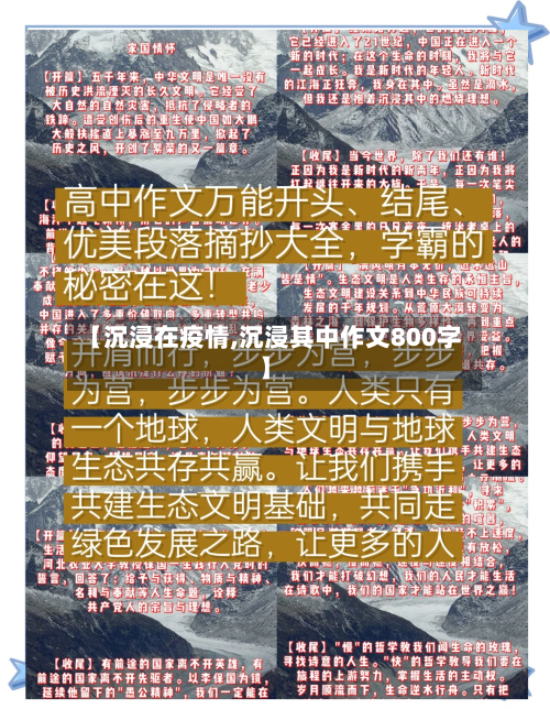 【沉浸在疫情,沉浸其中作文800字】