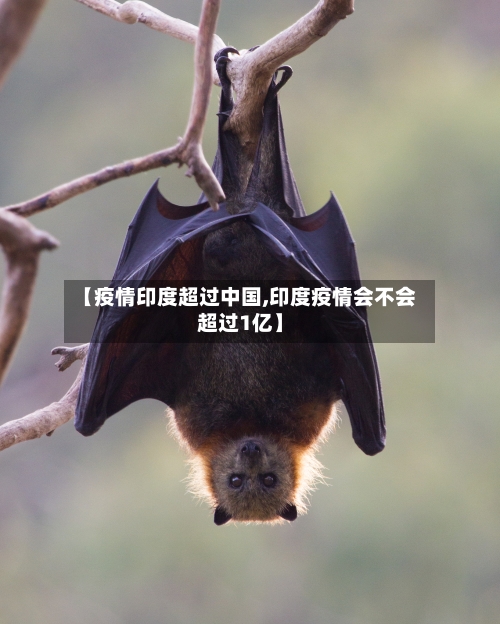 【疫情印度超过中国,印度疫情会不会超过1亿】-第2张图片