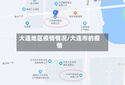 大连地区疫情情况/大连市的疫情
