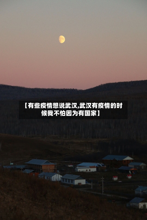 【有些疫情想说武汉,武汉有疫情的时候我不怕因为有国家】-第3张图片