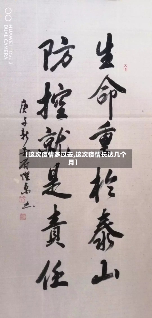 【这次疫情多过去,这次疫情长达几个月】-第2张图片