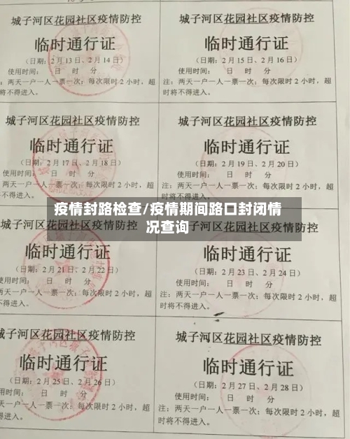 疫情封路检查/疫情期间路口封闭情况查询-第2张图片