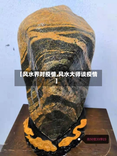 【风水界对疫情,风水大师谈疫情】