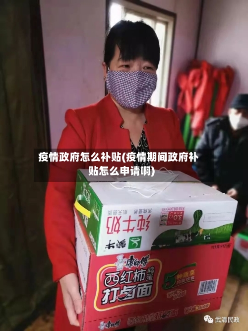 疫情政府怎么补贴(疫情期间政府补贴怎么申请啊)-第3张图片