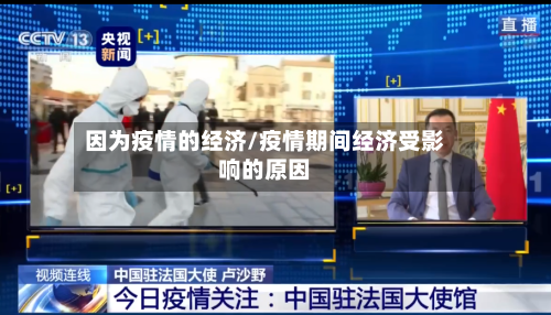 因为疫情的经济/疫情期间经济受影响的原因-第3张图片