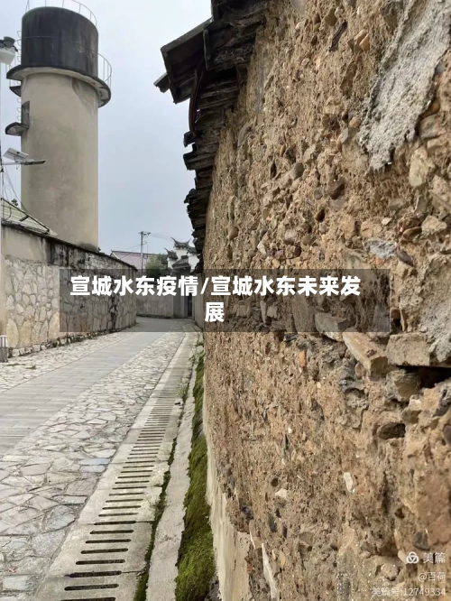 宣城水东疫情/宣城水东未来发展-第3张图片