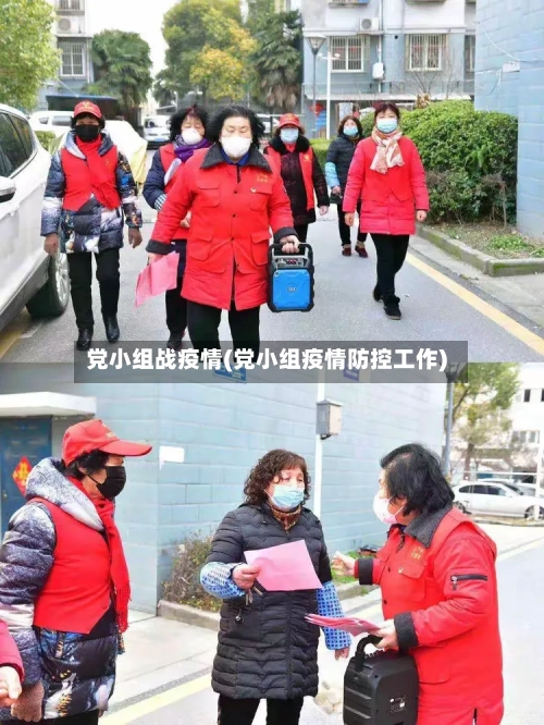 党小组战疫情(党小组疫情防控工作)