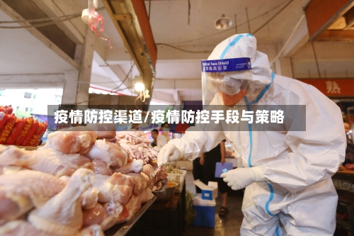 疫情防控渠道/疫情防控手段与策略