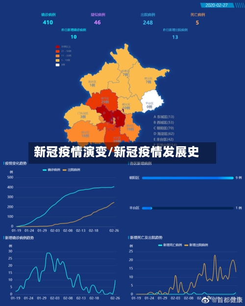 新冠疫情演变/新冠疫情发展史
