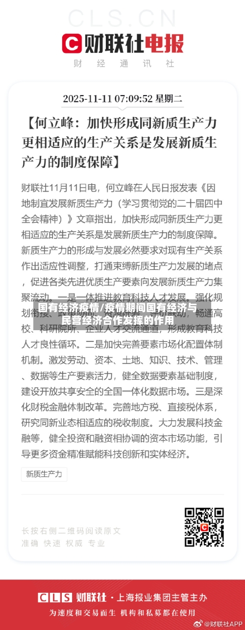 国有经济疫情/疫情期间国有经济与民营经济合作发挥的作用-第2张图片