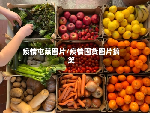 疫情屯菜图片/疫情囤货图片搞笑