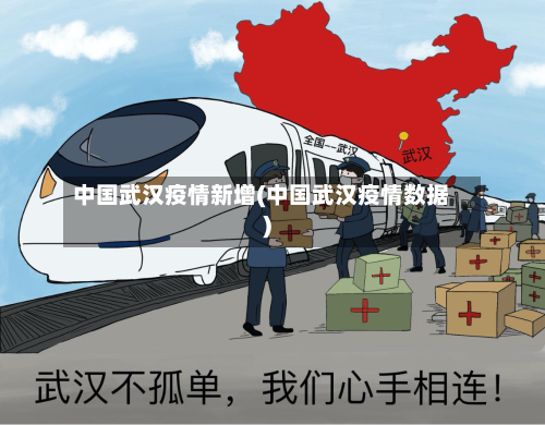 中国武汉疫情新增(中国武汉疫情数据)-第3张图片