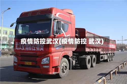 疫情防控武汉(疫情防控 武汉)-第2张图片