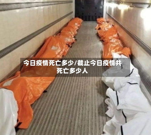 今日疫情死亡多少/截止今日疫情共死亡多少人