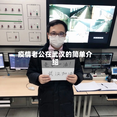 疫情老公在武汉的简单介绍-第2张图片