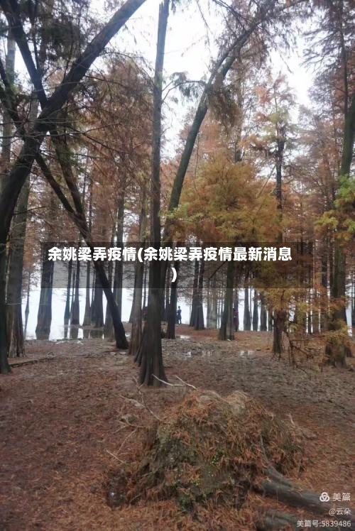 余姚梁弄疫情(余姚梁弄疫情最新消息)-第2张图片