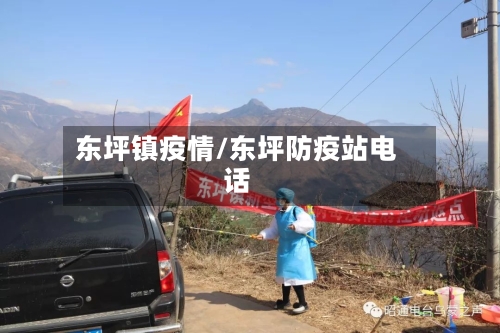 东坪镇疫情/东坪防疫站电话