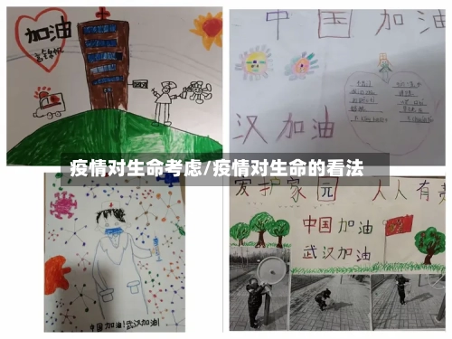 疫情对生命考虑/疫情对生命的看法