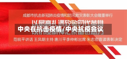 中央在抗击疫情/中央抗疫会议