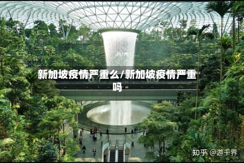 新加坡疫情严重么/新加坡疫情严重吗-第2张图片