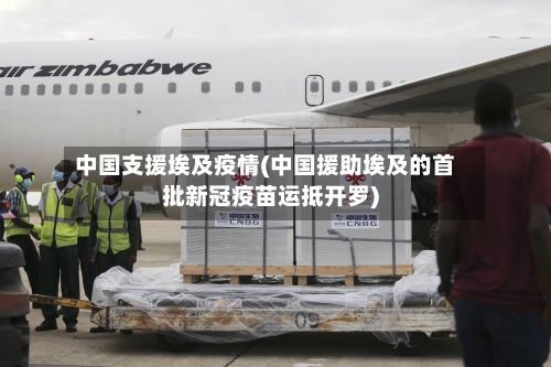 中国支援埃及疫情(中国援助埃及的首批新冠疫苗运抵开罗)-第2张图片