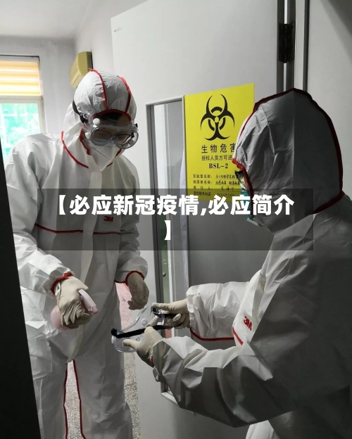 【必应新冠疫情,必应简介】-第2张图片