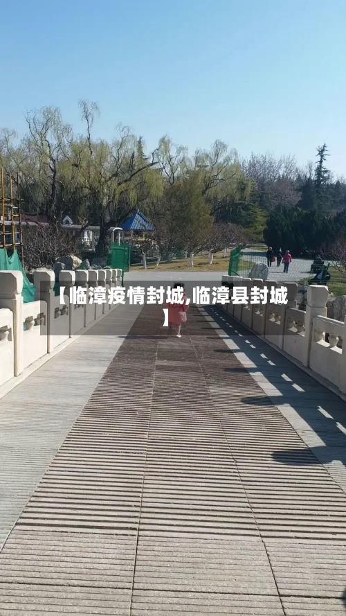 【临漳疫情封城,临漳县封城】-第2张图片