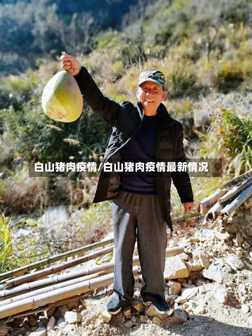 白山猪肉疫情/白山猪肉疫情最新情况