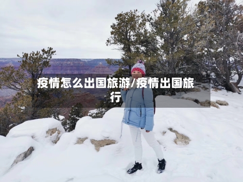 疫情怎么出国旅游/疫情出国旅行-第2张图片