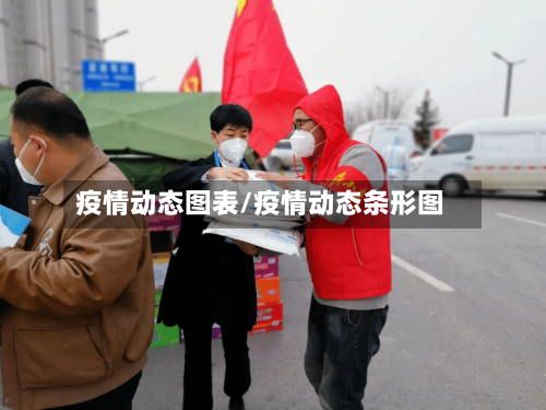 疫情动态图表/疫情动态条形图-第3张图片