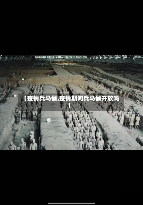 【疫情兵马俑,疫情期间兵马俑开放吗】