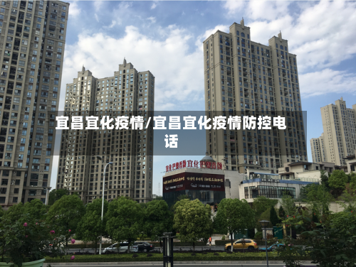 宜昌宜化疫情/宜昌宜化疫情防控电话