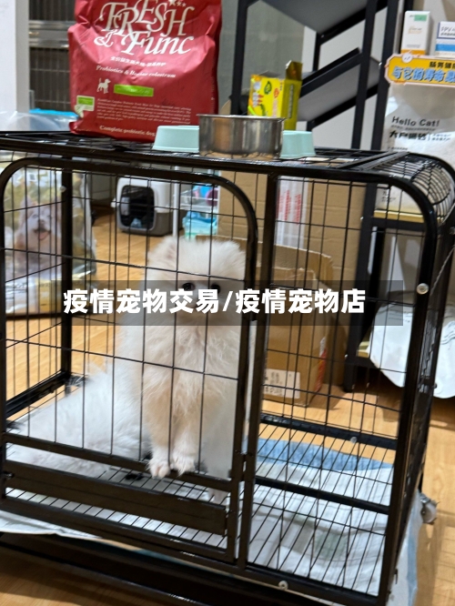 疫情宠物交易/疫情宠物店-第3张图片