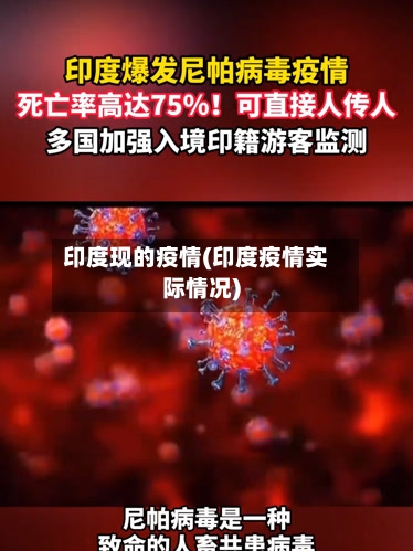 印度现的疫情(印度疫情实际情况)