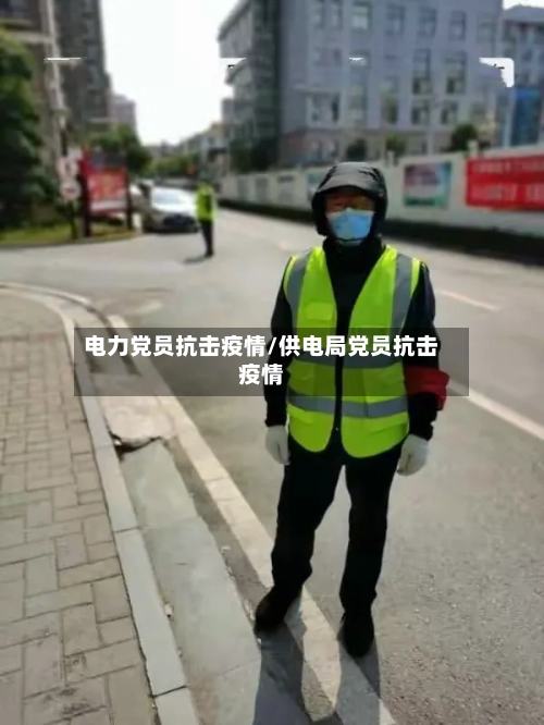 电力党员抗击疫情/供电局党员抗击疫情