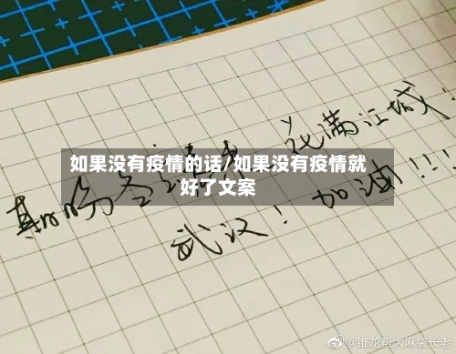 如果没有疫情的话/如果没有疫情就好了文案-第3张图片