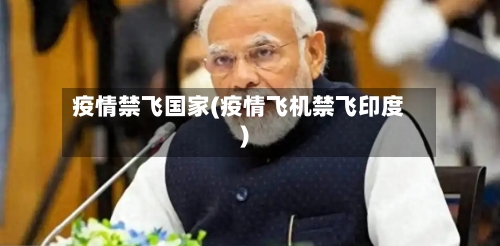 疫情禁飞国家(疫情飞机禁飞印度)-第2张图片