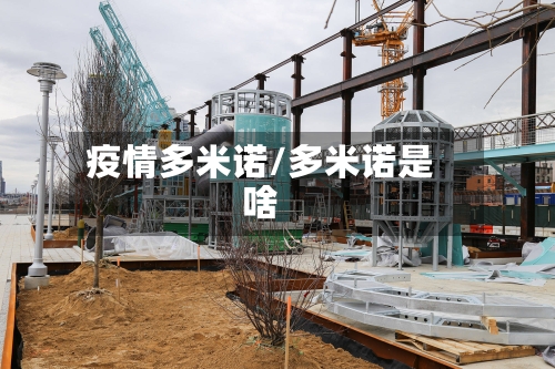 疫情多米诺/多米诺是啥-第2张图片