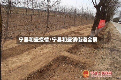 宁县和盛疫情/宁县和盛镇街道全景